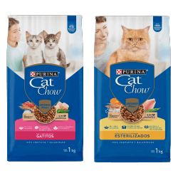 Gatos Esterilizados/ Gatitos